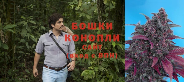 PSILOCYBIN Балабаново