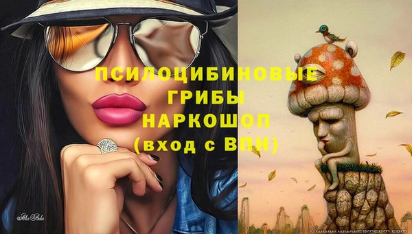 винт Баксан