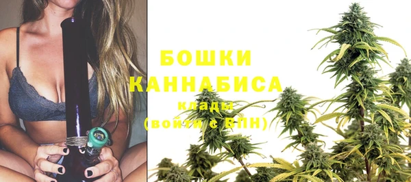 PSILOCYBIN Балабаново
