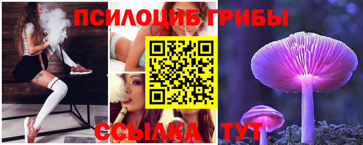 Псилоцибиновые грибы ЛСД  Галлюциногенные грибы мицелий  Долгопрудный  Вход с VPN 